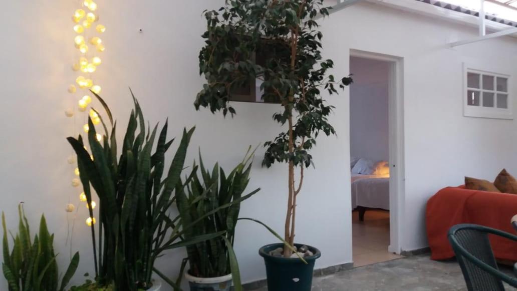 Hostal Casa 95 Викунья Экстерьер фото
